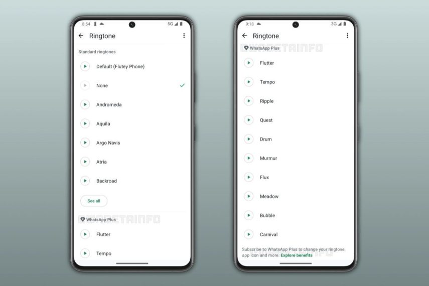 WhatsApp Plus débarque
